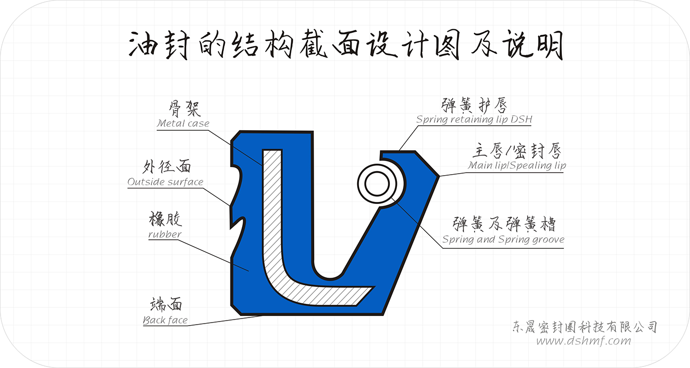 油封的結(jié)構(gòu)截面設(shè)計(jì)圖及說明2