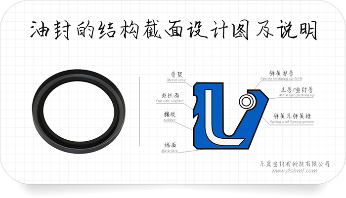 油封的結(jié)構(gòu)截面設(shè)計圖及密封件說明和密封圈產(chǎn)品實圖 油封的結(jié)構(gòu)截面設(shè)計圖及密封件說明和密封圈產(chǎn)品實圖